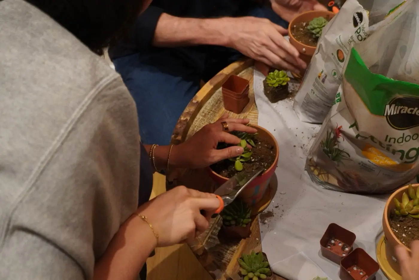 four pairs of hands pressing succulents into terracotta pots around a wooden barrel table, during an art therapy night in a SoHo living room, New York